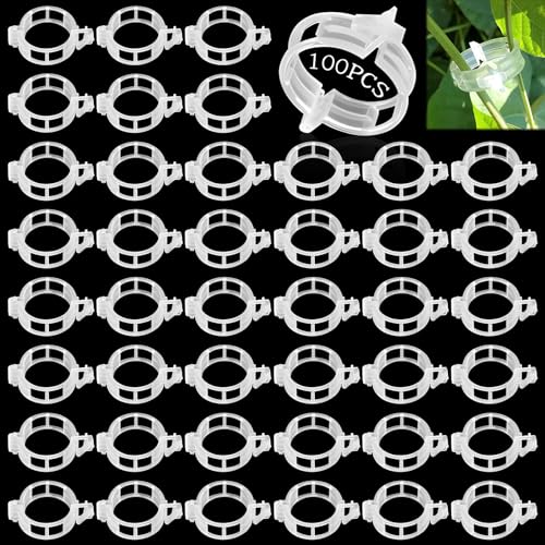 Lets Joy 100Stk Pflanzenclips, Tomaten Klammern, Pflanzenklammern Tomatenclips, Pflanzenclips für Kletterpflanzen, Pflanzen Clips, Tomatenclips Biokunststoff, Sicherung Rankpflanzen Blumen von Lets Joy