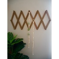 Makramee Luftpflanzenhalter | Geflochtener Pflanzenaufhänger Luftpflanzen Display Pflanzenhänger Pflanzendeko Frühling Boho Style Muttertagsgeschenk Makramee Luftpflanzenhalter | Geflochtener Pflanzenaufhänger Luftpflanzen Display Pflanzenhänger Pflanzendeko Frühling Boho Style Muttertagsgeschenk von LetsGetBohoCreations