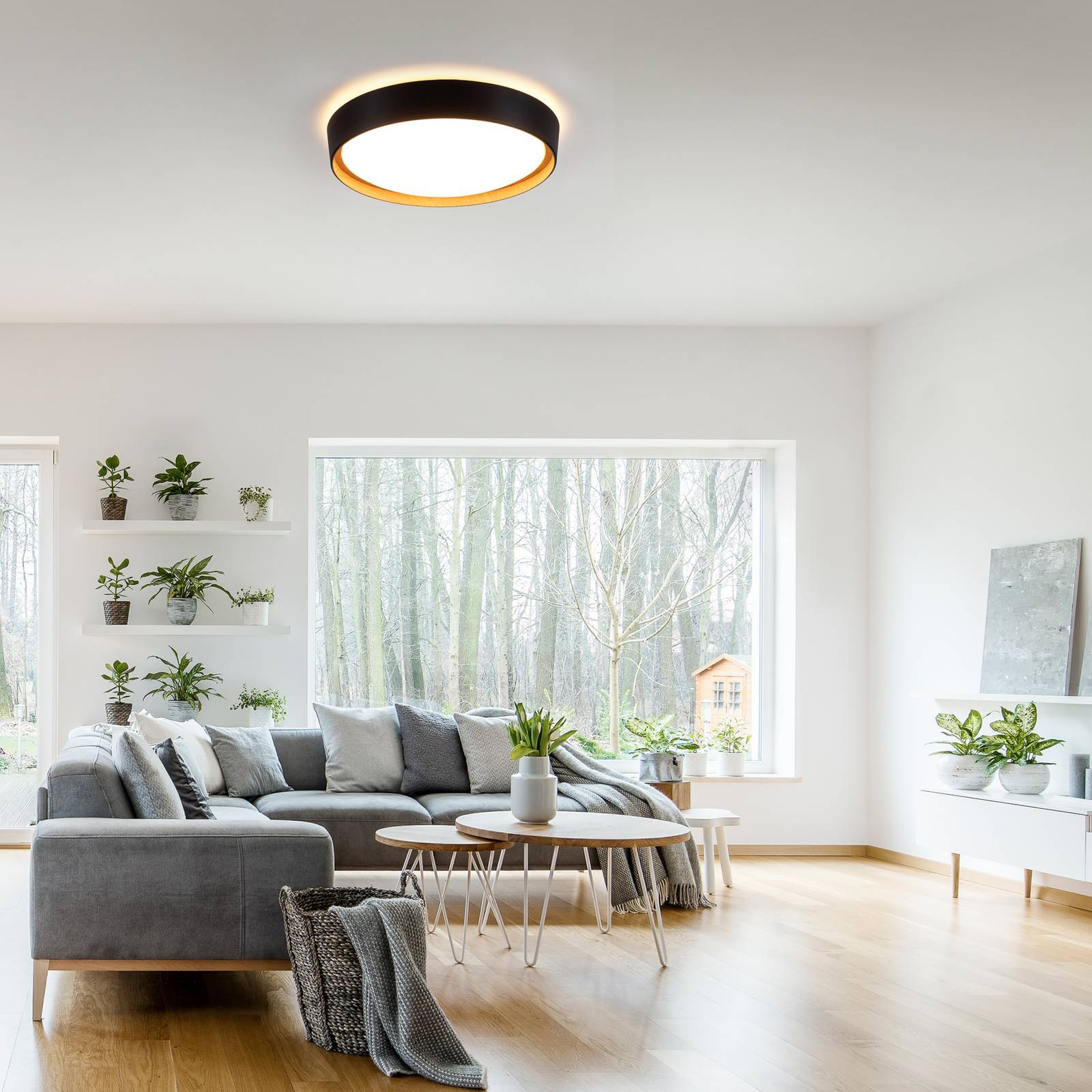 LED-Deckenleuchte Emilia 3-stufig dimmbar schwarz LED-Deckenleuchte Emilia 3-stufig dimmbar schwarz von JUST LIGHT.