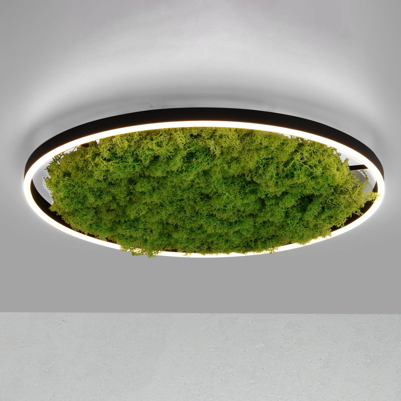 LED-Deckenlampe Green Ritus, Moos dimmbar Ø58,5cm von JUST LIGHT.