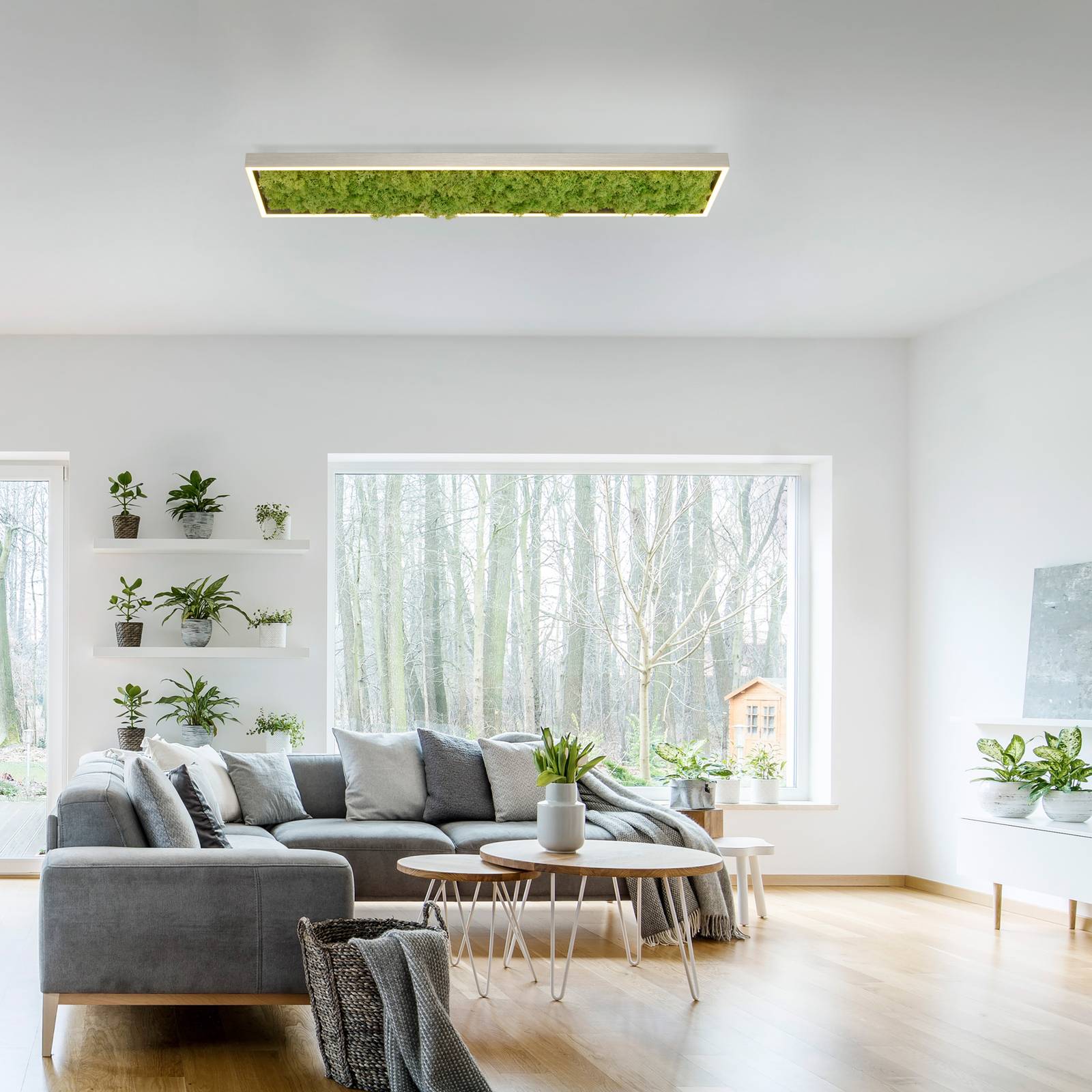 LED-Deckenleuchte Green Knut mit echtem Moos von JUST LIGHT.