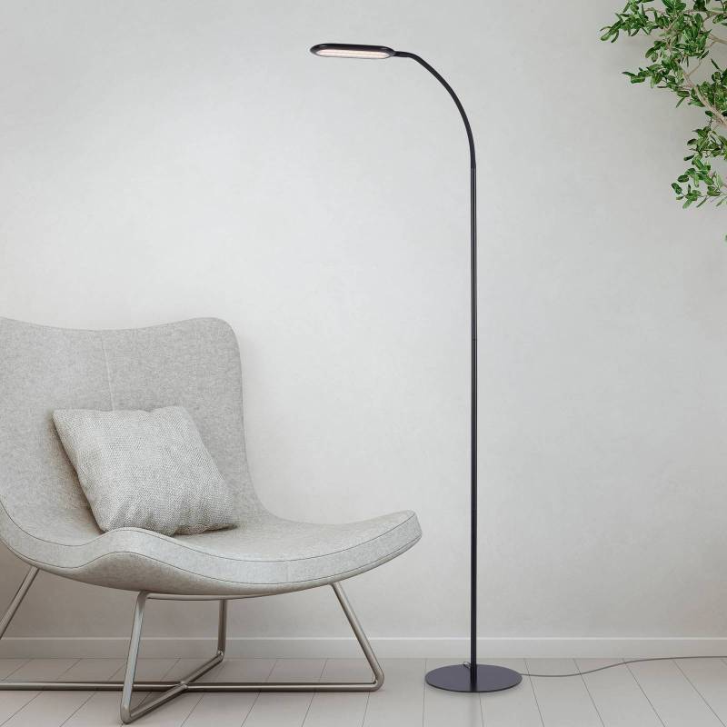 LED-Stehleuchte Kelly, CCT dimmbar von JUST LIGHT. GmbH