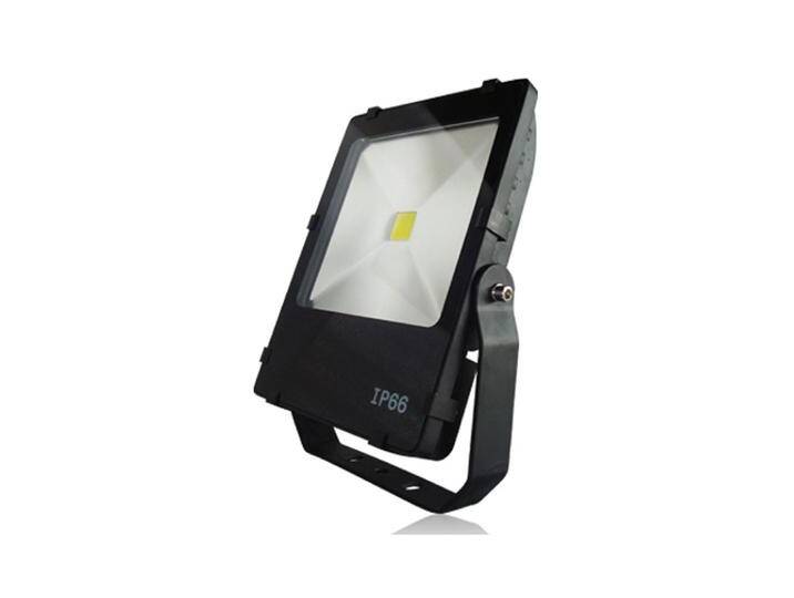 LED-Spot Floodlight Franssen - 10-45530 von LeuchtenTotal