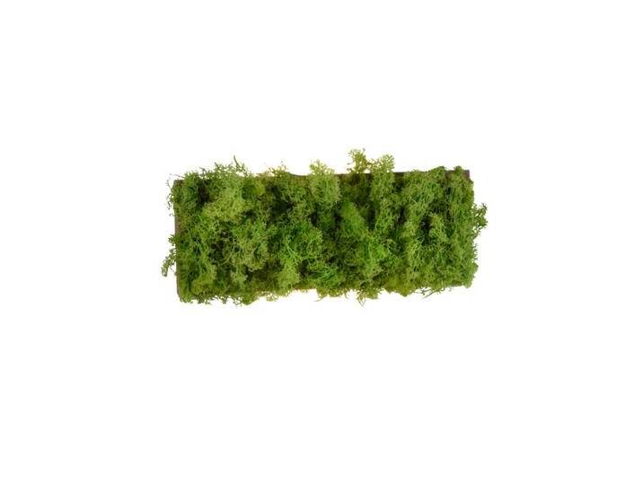 Rechteckige Deckenleuchte Green Carlo mit Moos Just Light - von LeuchtenTotal