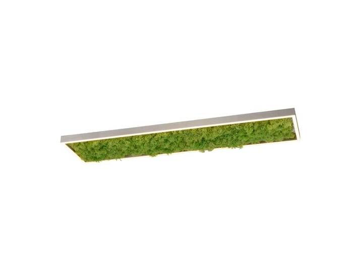 Rechteckige Deckenleuchte Green Knut mit Moos Just Light - von LeuchtenTotal