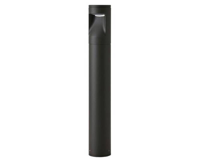 Stehender LED Gartenspot Lako 40 cm 2-Licht-Anthrazit Franssen - von LeuchtenTotal