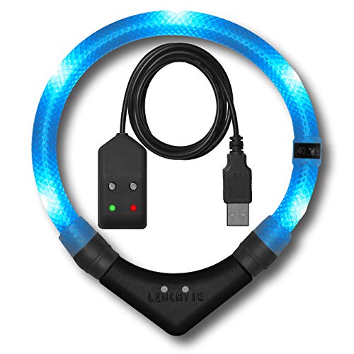 LEUCHTIE® Leuchthalsband Easy Charge für Hunde, USB aufladbar, wasserdichtes LED Halsband, extrem hell, 25h Leuchtdauer, kleine mittlere und große Hunde eisblau Größe 55 von LEUCHTIE