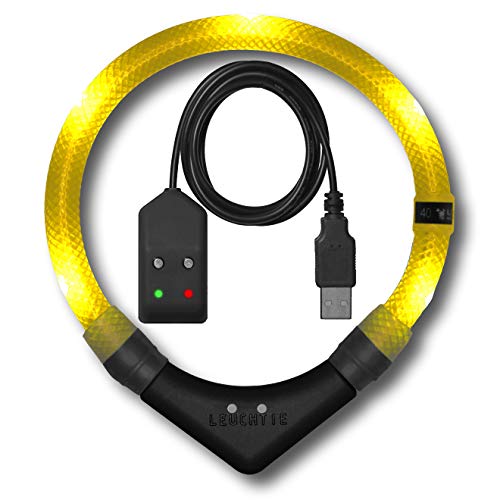 LEUCHTIE® Leuchthalsband Easy Charge für Hunde, USB aufladbar, wasserdichtes LED Halsband, extrem hell, 25h Leuchtdauer, kleine mittlere und große Hunde Sonnengelb Größe 37,5 von LEUCHTIE