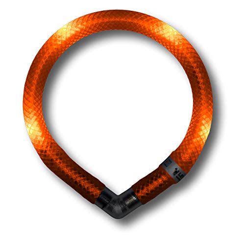 LEUCHTIE® Leuchthalsband Mini für Hunde, wasserdichtes LED Halsband, enorm hell, 50h Leuchtdauer, für kleine Hunde Sunset orange Größe 27,5 von LEUCHTIE