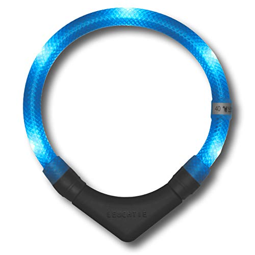 LEUCHTIE® Leuchthalsband Plus für Hunde, wasserdichtes LED Halsband, enorm hell 100h Leuchtdauer, Hundehalsband Leuchtend für kleine mittlere und große Hunde eisblau Größe 40 von LEUCHTIE