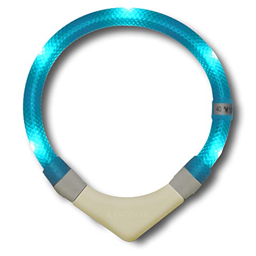 LEUCHTIE® Leuchthalsband Plus NL für Hunde, nachleuchtend phosphoreszierendes Batterieteil, wasserdichtes LED Halsband, 100h Leuchtdauer, für kleine mittlere und große Hunde türkis Größe 40 von LEUCHTIE