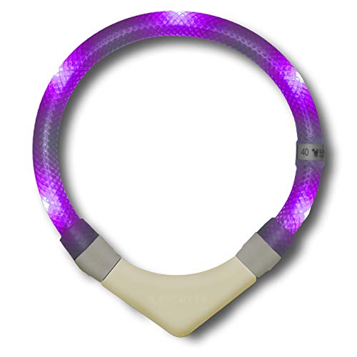LEUCHTIE® Leuchthalsband Plus NL für Hunde, nachleuchtend phosphoreszierendes Batterieteil, wasserdichtes LED Halsband, 100h Leuchtdauer, für kleine mittlere und große Hunde Lavendel Größe 45 von LEUCHTIE