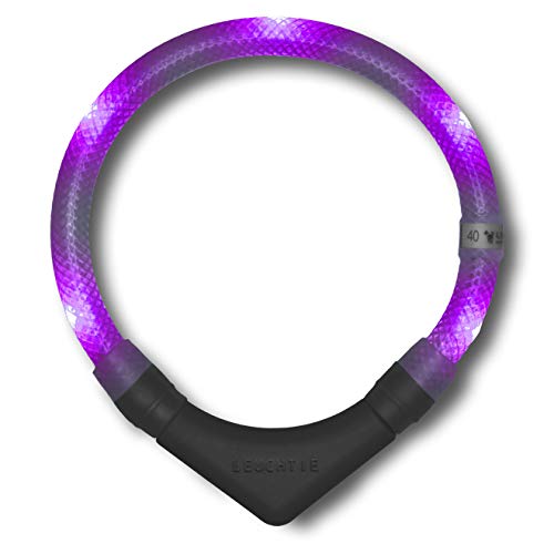 LEUCHTIE® Leuchthalsband Plus für Hunde, wasserdichtes LED Halsband, enorm hell 100h Leuchtdauer, Hundehalsband Leuchtend für kleine mittlere und große Hunde Lavendel Größe 55 von LEUCHTIE