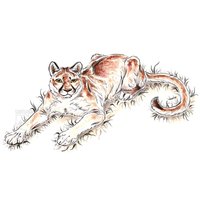 A5/A4 Berglöwe Druck A5/A4 Berglöwe Druck von LeucisticLynx