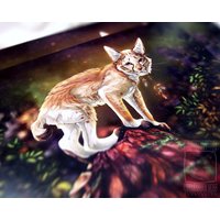 A5/A4 Säbelzahnkatzen Druck A5/A4 Säbelzahnkatzen Druck von LeucisticLynx