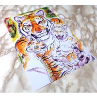 A5/A4 Tigerjunge Druck A5/A4 Tigerjunge Druck von LeucisticLynx