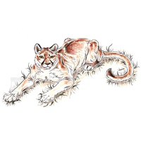 A5 Cougar Druck A5 Cougar Druck von LeucisticLynx