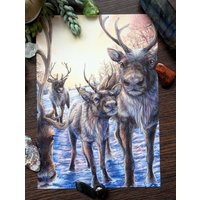 A5 Rentier/Karibu Print A5 Rentier/Karibu Print von LeucisticLynx