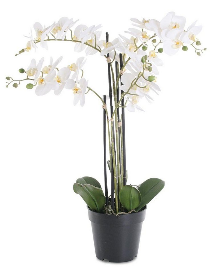 Kunstpflanze, Levandeo®, Weiße Orchidee 72cm Pflanze Kunstblume Kunstpflanze Dekoration von Levandeo®