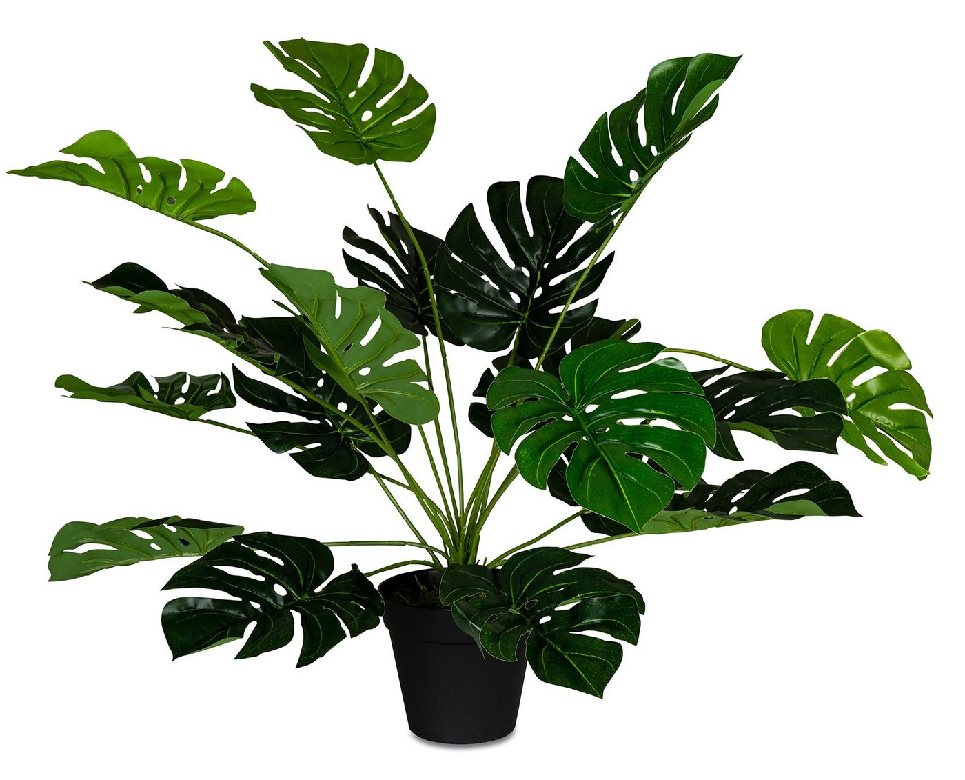 Kunstpflanze, Levandeo®, levandeo Monstera Kunstpflanze 55cm Hoch Kunstblume Grün Pflanze Im von Levandeo®