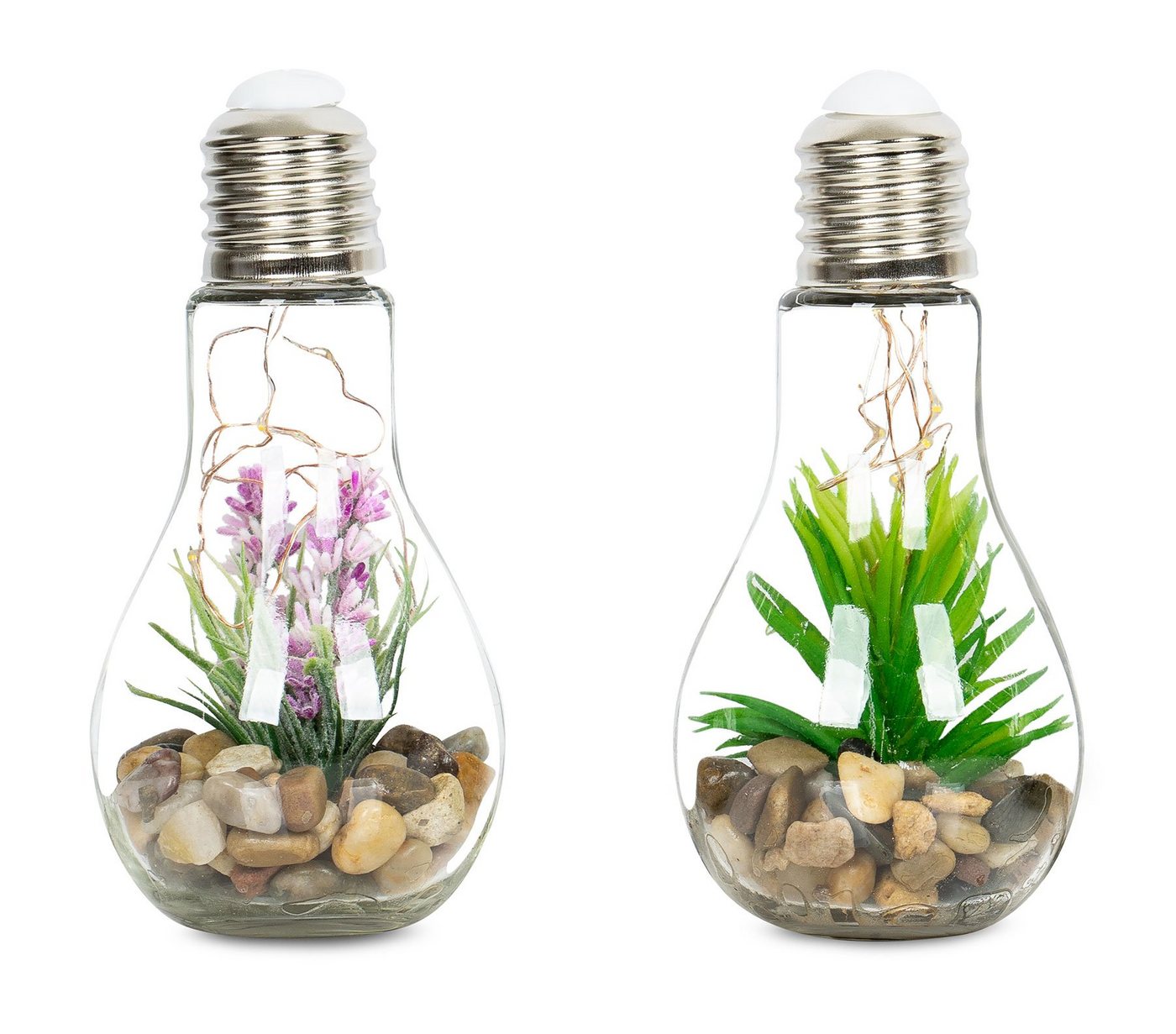 Levandeo® LED Dekoobjekt, 2er Set Sukkulenten Glühbirne Im Glas B x H: 8 x 19 cm LED Warmweiß von Levandeo®