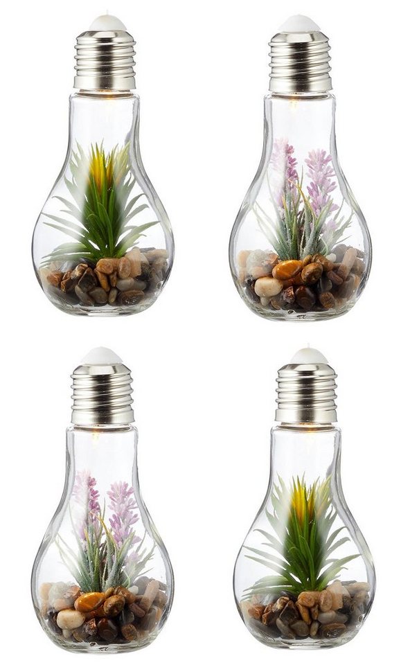 Levandeo® LED Dekoobjekt, 4er Set Sukkulenten Glühbirne Glas je B x H 8 x 19cm Deko LED Lampe von Levandeo®