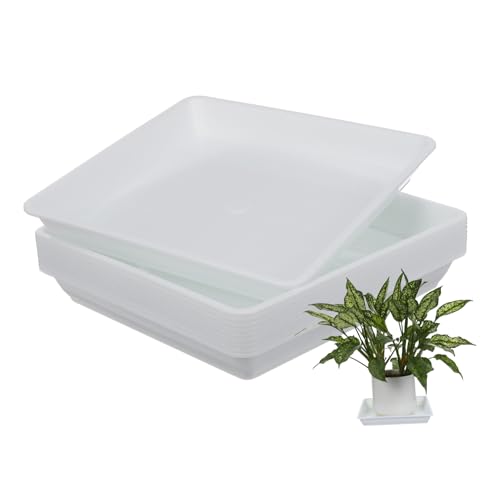 Levemolo 10 Stück Quadratische Pflanzuntersetzer aus Weißem Hitzebeständigem Resin Robustes Pflanzentablett für Innen Außenbereich für Kleine Blumentöpfe und Gartenpflanzen Levemolo 10 Stück Quadratische Pflanzuntersetzer aus Weißem Hitzebeständigem Resin Robustes Pflanzentablett für Innen Außenbereich für Kleine Blumentöpfe und Gartenpflanzen von Levemolo