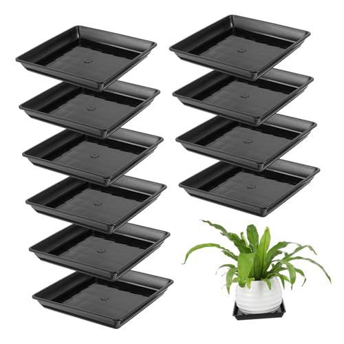Levemolo 10 Stück Teiliges Quadratische Kunststoff Pflanzenuntersetzer Hitzebeständig Robust Geeignet für Sukkulenten Blumen Pflanztöpfe für Garten und Innenbereich Schwarz von Levemolo