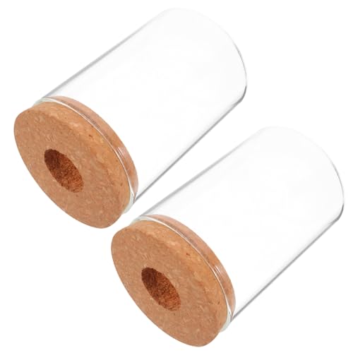 Levemolo 2 Stück Hydroponische Glas Pflanzenterrarien mit Korkverschluss Transparent Kleine Tischdekoration für Luftpflanzen und Sukkulenten Modernes Flaschengarten Design für Büro und von Levemolo
