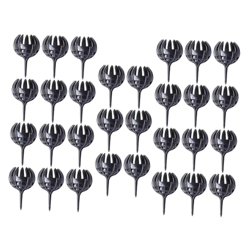 Levemolo 30 Stück Teiliges Kunststoff düngerboxen für Bonsai und Zimmerpflanzen Langlebige Langsam Freisetzende Düngerkästen mit Krallenform Praktisch für Blumentöpfe Orchideen und Kleine von Levemolo