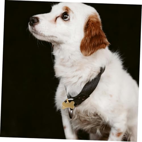 Levemolo 5 Stück Hundemarke Knochenform aus Edelstahl Gravierbare Haustieranhänger Dekorative und Robuste Namensschilder für Hunde Katzen Personalisierbare Id tags für Schnelle Erkennung von Levemolo