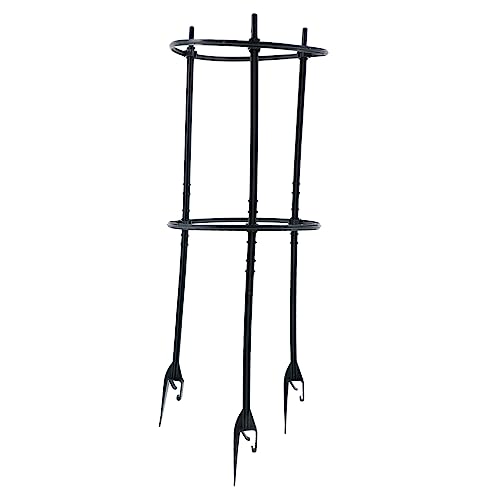 Levemolo Pflanzenstützregal für Kletterpflanzen Rankhilfe für Topfpflanzen Dekoratives Indoor Regal für Zimmerpflanzen und Blumentöpfe Levemolo Pflanzenstützregal für Kletterpflanzen Rankhilfe für Topfpflanzen Dekoratives Indoor Regal für Zimmerpflanzen und Blumentöpfe von Levemolo