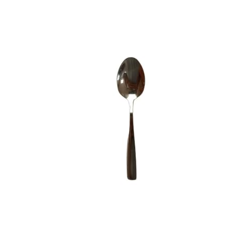 Set mit 6 Kaffeelöffeln aus Edelstahl, ideal für den täglichen Gebrauch und Service in Cafés und Restaurants. von Levitantes