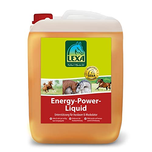 Energy-Power-Liquid 2,5 l Kanister von LEXA
