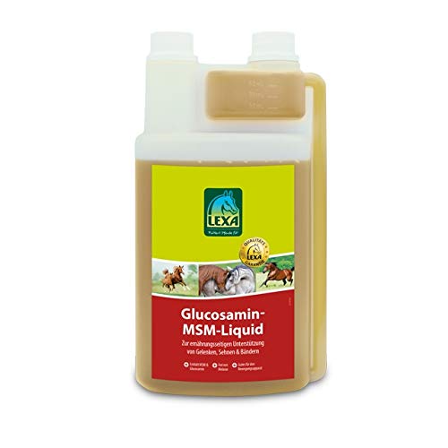 Glucosamin-MSM-Liquid 1 l Flasche von LEXA