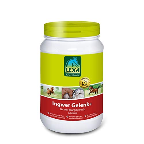 Ingwer Gelenk+ 1 kg Dose Ingwer Gelenk+ 1 kg Dose von LEXA