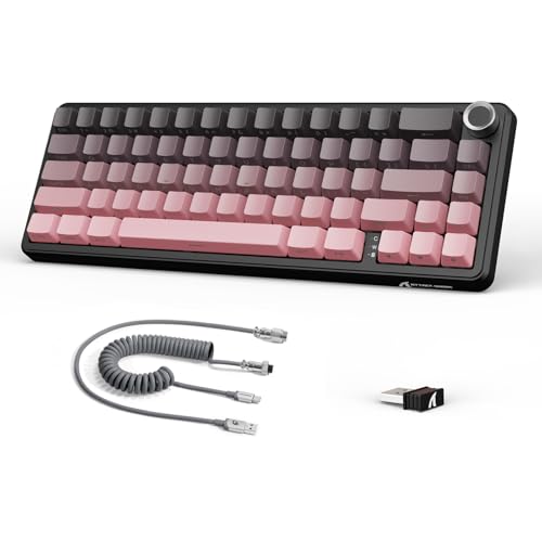 LexonElec x Attack Shark X66 60% Mechanische Tastatur Kabellos mit Lautstärkeregler, Hot-Swap Gasket Mount, 2.4G/USB-C/BT5.0, QWERTY PBT Keycap, Mini 66 Key RGB Gaming Tastatur für Win/Mac-Black/Pink von LexonElec