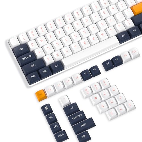 PBT Keycaps 110 Tasten, OEM Profil Double-Shot Tastenset für Gaming Tastatur, ANSI-Layout (US), für Mechanische Tastatur Cherry Gateron Kailh MX Schalter, Sternenblau von LexonElec