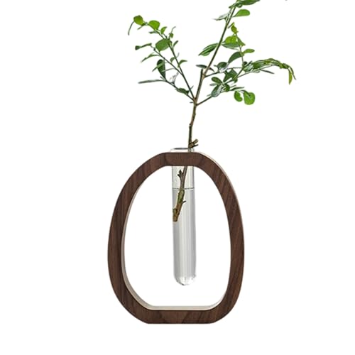Pflanzliche Vermehrungsvasen,Dekorative Hydrokultur Klar Blumenvasen | Reagenzglas Tischdekoration Für Wohnzimmer Schlafzimmer Schreibtisch Zuhause Party Hochzeit Landhausstil Pflanzliche Vermehrungsvasen,Dekorative Hydrokultur Klar Blumenvasen | Reagenzglas Tischdekoration Für Wohnzimmer Schlafzimmer Schreibtisch Zuhause Party Hochzeit Landhausstil von Lexsyn