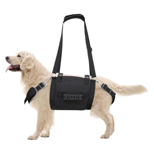 Welpengeschirr, Hundegeschirr mit Griff - Leicht zu Fuß ziehendes Hundegeschirr,Griffgeschirr, Hundehilfsgürtelleinen, für kleine, mittelgroße und große Hunde Welpengeschirr, Hundegeschirr mit Griff - Leicht zu Fuß ziehendes Hundegeschirr,Griffgeschirr, Hundehilfsgürtelleinen, für kleine, mittelgroße und große Hunde von Lexsyn