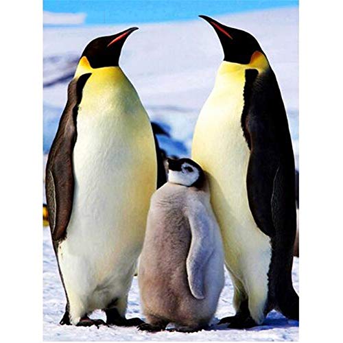 Leyola 5D DIY Diamant Malerei große Vollbohrer nach Zahlen Gemälde Diamond Painting Set Pinguin Bilder Mosaik Stickerei Kristalle Strass Kreuzstich Kunst für Wohnkultur Wand Square Drill,50x70cm von Leyola
