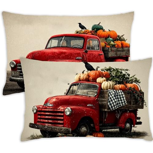 Kissenbezug 50 x 60 Erntedankfest Kopfkissenbezug 50x60 cm 2 Stück Samt Kissen Kürbis Dekokissen Rechteck Kissenbezüge Unsichtbarem Reißverschluss Sofakissen für Schlafzimmer Deko Herbst Gifts,454-j von Lezewege
