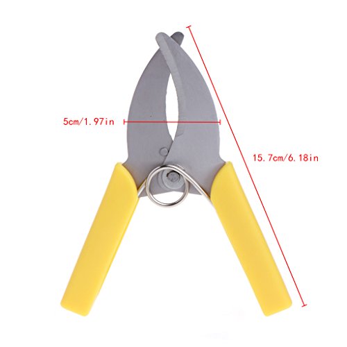 LfrXtra Gartenbaumzweiste Bellen Slicer Schere Guldeling Sheer Prunning Tools von LfrXtra
