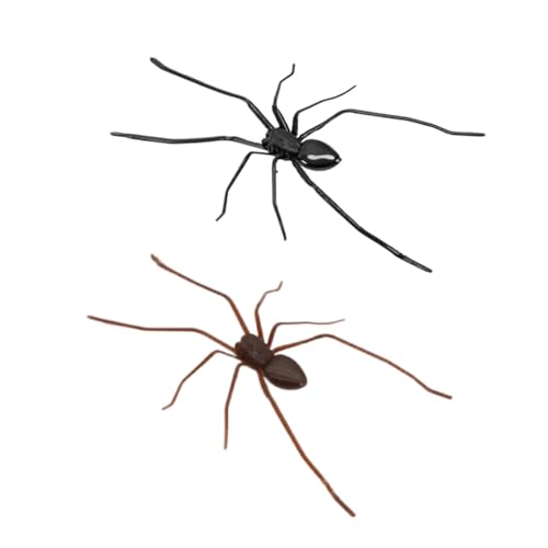 2 Stück 3D Spinnen Kühlschrankmagnete, Realistische Spinnen Design, Magnetische Dekoration für Kühlschrank, Lustig Geschenk für Kühlschrank Garagentor Indoor Outdoor Magnetische Aufkleber 2 Stück 3D Spinnen Kühlschrankmagnete, Realistische Spinnen Design, Magnetische Dekoration für Kühlschrank, Lustig Geschenk für Kühlschrank Garagentor Indoor Outdoor Magnetische Aufkleber von Lguaquanx