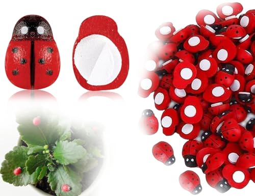 Lhbwhiz 100 Stücke Mini MarienkäFer,Kuscheltier GlüCkskäFer,Selbstklebende Ladybug Verzierungen,Holz Ladybird,für DIY Handwerk Party Dekoration Scrapbooking Bastelarbeiten(Rot,8 * 11mm) von Lhbwhiz