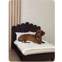 Luxus-Hundebett Aus Holz, Moderne Haustiermöbel, Handgefertigtes Haustierbett Mit Matratze, Gemütliches Haustierschlafen, Einzigartiges Geschenk Luxus-Hundebett Aus Holz, Moderne Haustiermöbel, Handgefertigtes Haustierbett Mit Matratze, Gemütliches Haustierschlafen, Einzigartiges Geschenk von LiBeUkraine