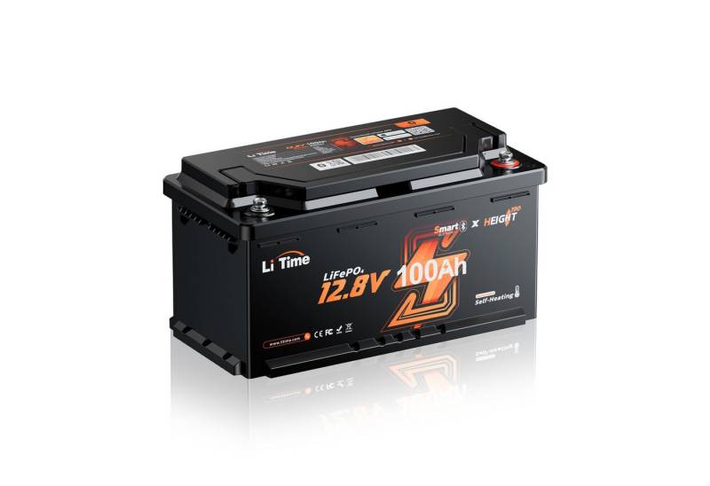 LiTime Litime 12V LiFePO4 Lithiumbatterie PV Stromspeicher Solarakkus (12 V) von LiTime