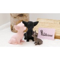 Chihuahua Dekofigur, Einmaliges Geschenk Für Hundebesitzer, 3D Druck von LibaPawlicious