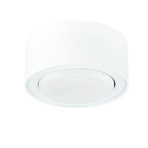 Licht-Erlebnisse Aufbaustrahler Metall Weiß für Wohnzimmer Schlafzimmer GX53 max. 12 W Zeitlos blendarm kleine Deckenleuchte Spot Flur FLEA von Licht-Erlebnisse