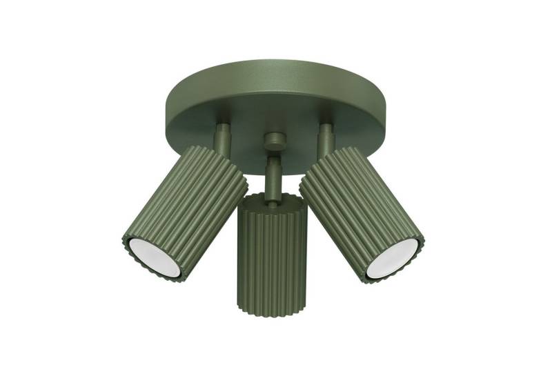 Licht-Erlebnisse Deckenstrahler BERTA, ohne Leuchtmittel, Aluminium verstellbar 19,5 cm breit Olivgrün GU10 3-flammig rund von Licht-Erlebnisse
